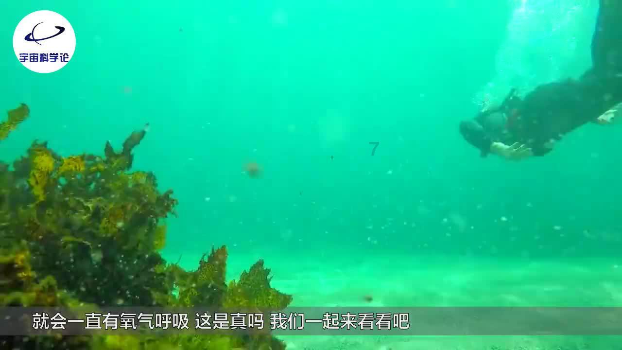 绿茵之巅