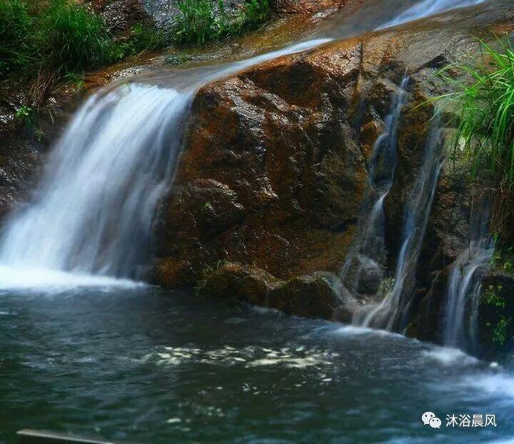 卡通考拉救援